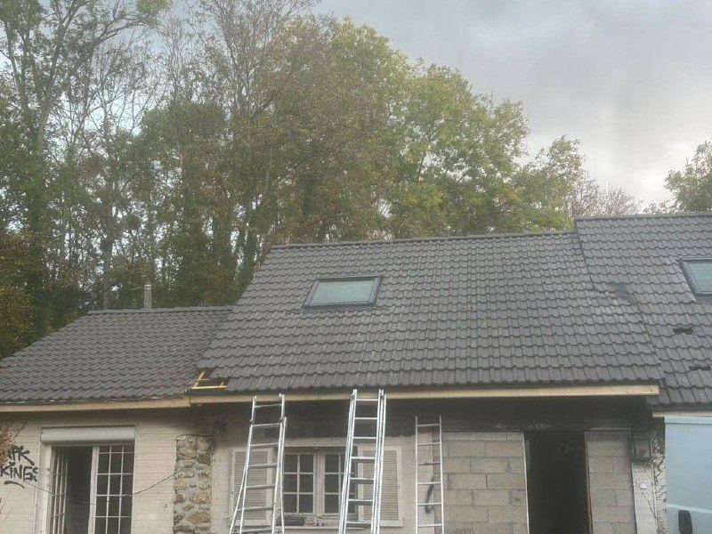 Rénovation toiture tuiles grises avec Velux